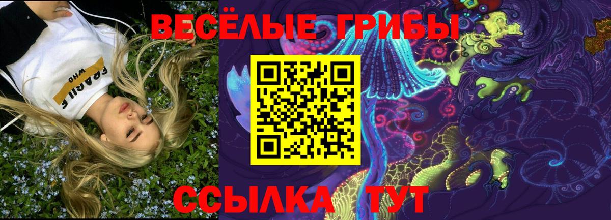 Псилоцибиновые грибы Psilocybe  Вход с VPN  Дзержинский 