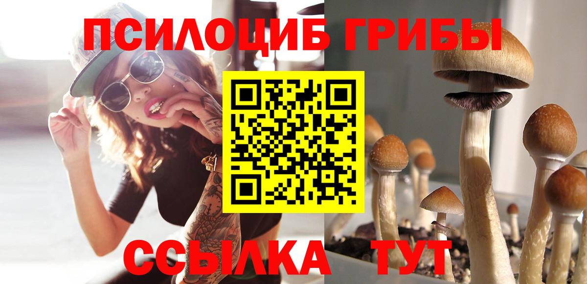 Галлюциногенные грибы Cubensis Дзержинский