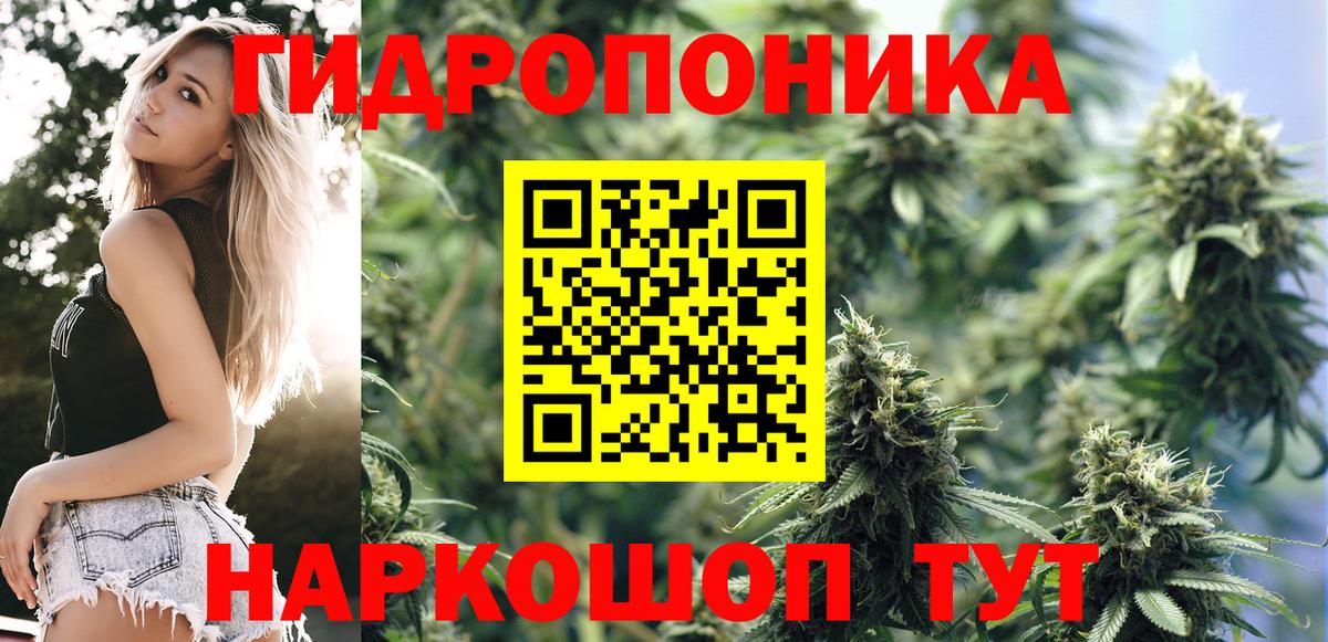 Шишки марихуана семена Дзержинский